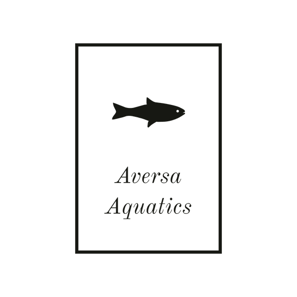 Aversa Aquatics